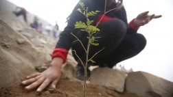 Miles se comprometen por el medio ambiente