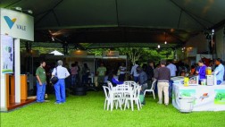 Lima albergará festival ecológico en junio