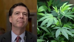 FBI: "Nuevos agentes hackers podrán consumir marihuana"