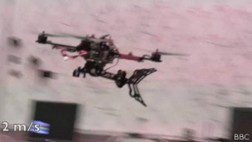 Nueva generación de drones imitará el mundo animal