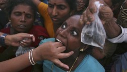 Advierten riesgo de perder plantas usadas en la medicina india