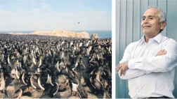 El guardaislas que protegió a las aves y a su guano por 34 años