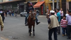 Ambulante usa caballo para ganarse S/.5 en el Cercado