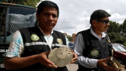 Chilena e irlandesa intervenidas con moluscos fosilizados