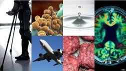 Seis grandes desafíos de la ciencia moderna