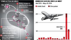 ¿Por qué los aviones son medios para adquirir infecciones?