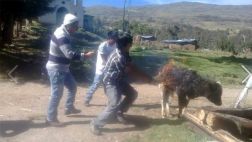 Esta foto causó indignación en redes sociales