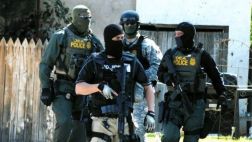 México: Cárteles reclutan a profesional para burlar a la DEA
