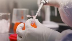 Científicos logran crear el mapa de proteínas humanas