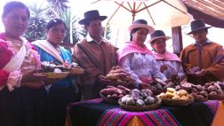 Empezó el Festival de Papa Nativa en Magdalena