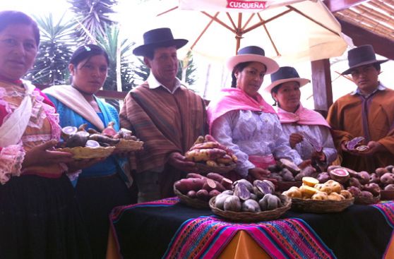 Empezó el Festival de Papa Nativa en Magdalena