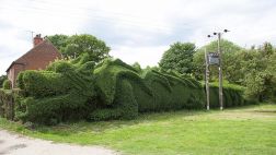 ¿Un dragón en el jardín? Anciano lo esculpió durante 13 años