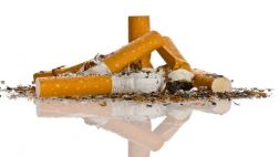 El cigarrillo y los daños desconocidos que lleva por dentro