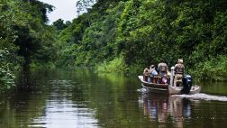 Amazonía: Denuncian que 13.800 hectáreas fueron deforestadas