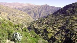 Lima y Cusco cuentan con la mayor cantidad de andenes