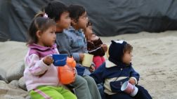 La desnutrición temprana ¿es cuestión de probióticos?
