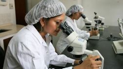 La hora de la innovación, por Alfredo Torres