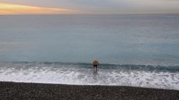 El Mediterráneo se calienta y se acidifica demasiado rápido