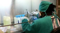 La búsqueda de nuevos marcadores para la tuberculosis