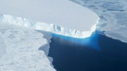 Impacto de témpanos a la deriva reduce especies en la Antártida