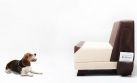 Conoce el mueble diseñado para los amantes de los perros