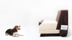 Conoce el mueble diseñado para los amantes de los perros
