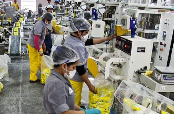 La industria se reactiva y se estima que crecerá 2,5% este año