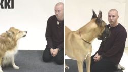 ¿Un finlandés es capaz de comunicarse con los perros?