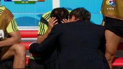 David Villa se despidió llorando del Mundial y de su selección