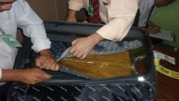 Holandés fue detenido con más de 2 kg de cocaína en aeropuerto