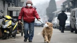 Bajar emisiones de CO2 podría crear empleos y mejorar la salud