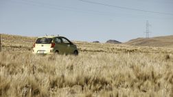 Blog: Una "pulga" pasea por el Perú con destino a Brasil