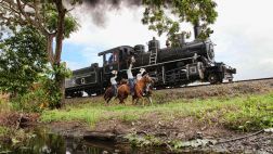 El tren más difícil del mundo: Descubre Ecuador de otra forma