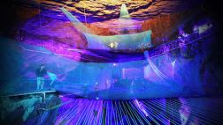 Bounce Below: El trampolín subterráneo más grande del mundo