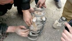 Gato viaja 80 kilómetros en la suspensión de un auto