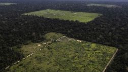 Indonesia desplaza a Brasil en tasa de deforestación