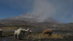 Ubinas: Volcán volvió a emitir una estela de ceniza