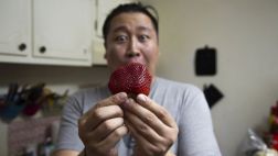 ¿Te comerías una fruta mutante?