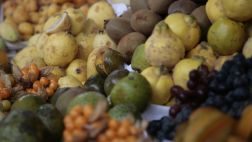 En tres pasos: evita las infecciones parasitarias