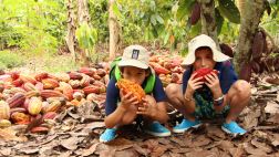 Tarapoto para niños: Ellos también pueden disfrutar de la selva