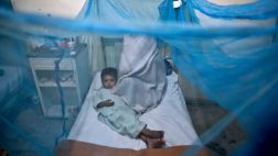 Primera vacuna contra el dengue brinda muchas esperanzas