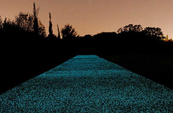 Mira este camino “mágico” que brilla en un parque de Inglaterra