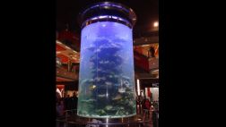 Pecera gigante fue inaugurada en Lima