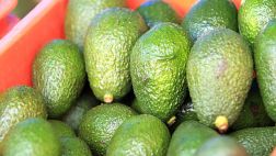 Palta Hass peruana entraría al mercado chino en setiembre