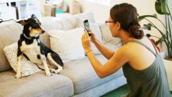 Esta app ladra y maúlla para que tu perro salga bien en la foto