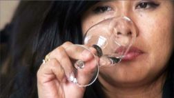 En busca de los mejores piscos peruanos