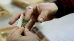 Casi un millón de peruanos ha consumido marihuana