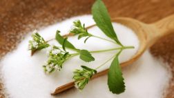 Descubre los mitos y verdades de la Stevia