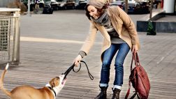 Aprende a ser un buen vecino y educa a tu mascota