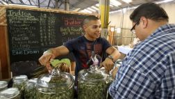 "The New York Times" apoya la legalización de la marihuana